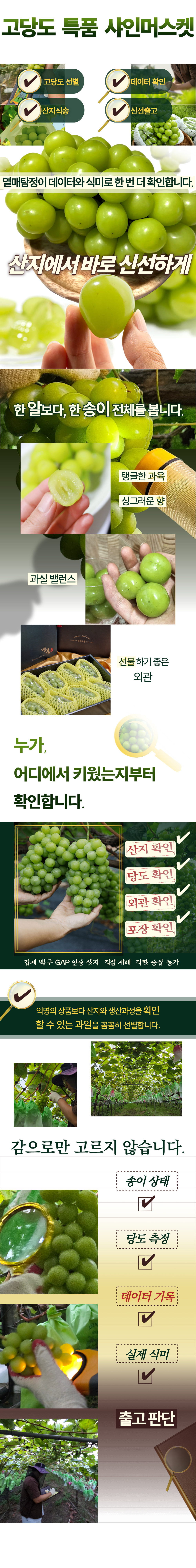 샤인 상세페이지 (1).png